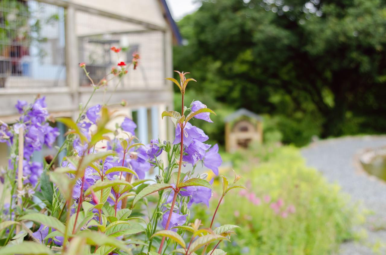 Furzedon B&B Merton  Exteriér fotografie