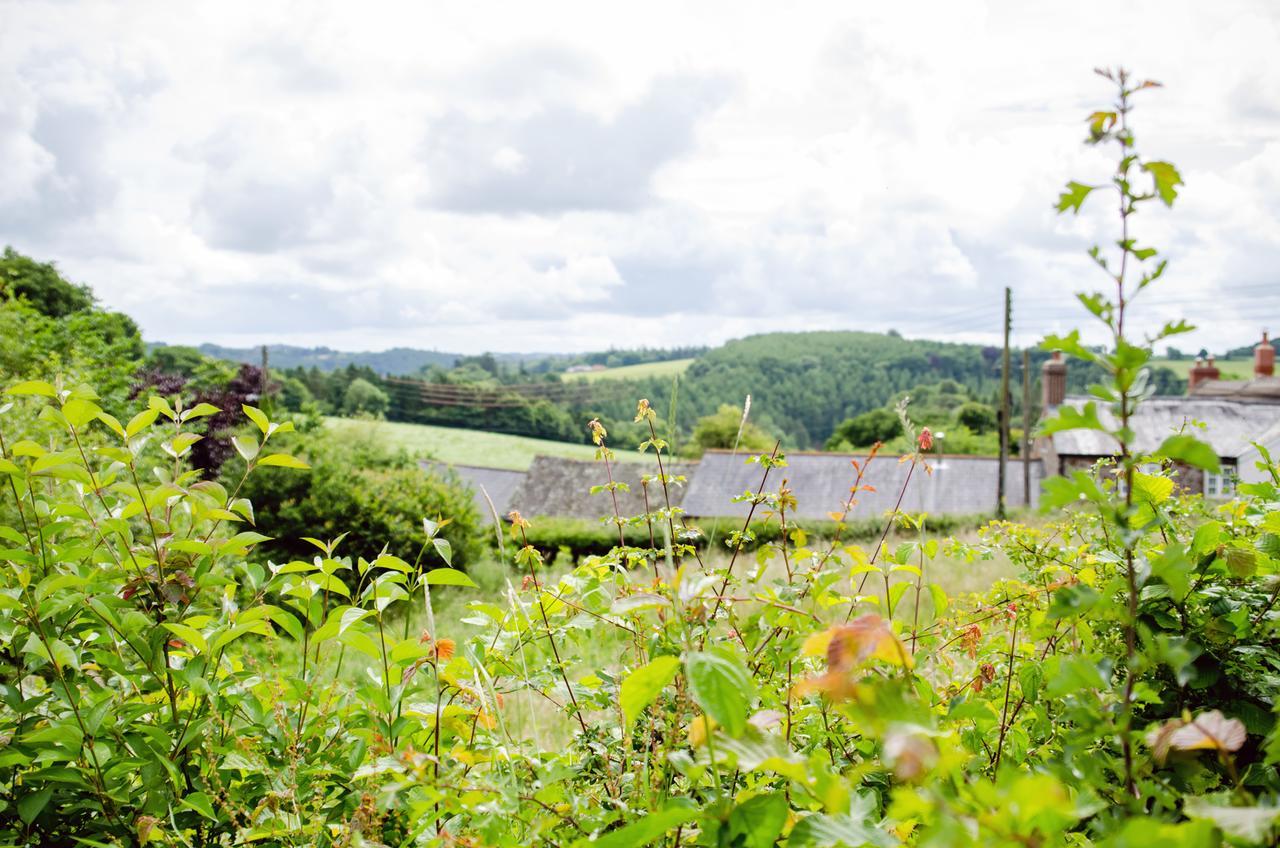 Furzedon B&B Merton  Exteriér fotografie